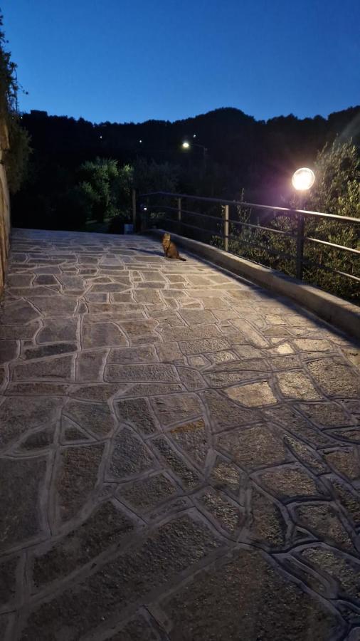 Villa Degli Ulivi Tivegna Екстер'єр фото