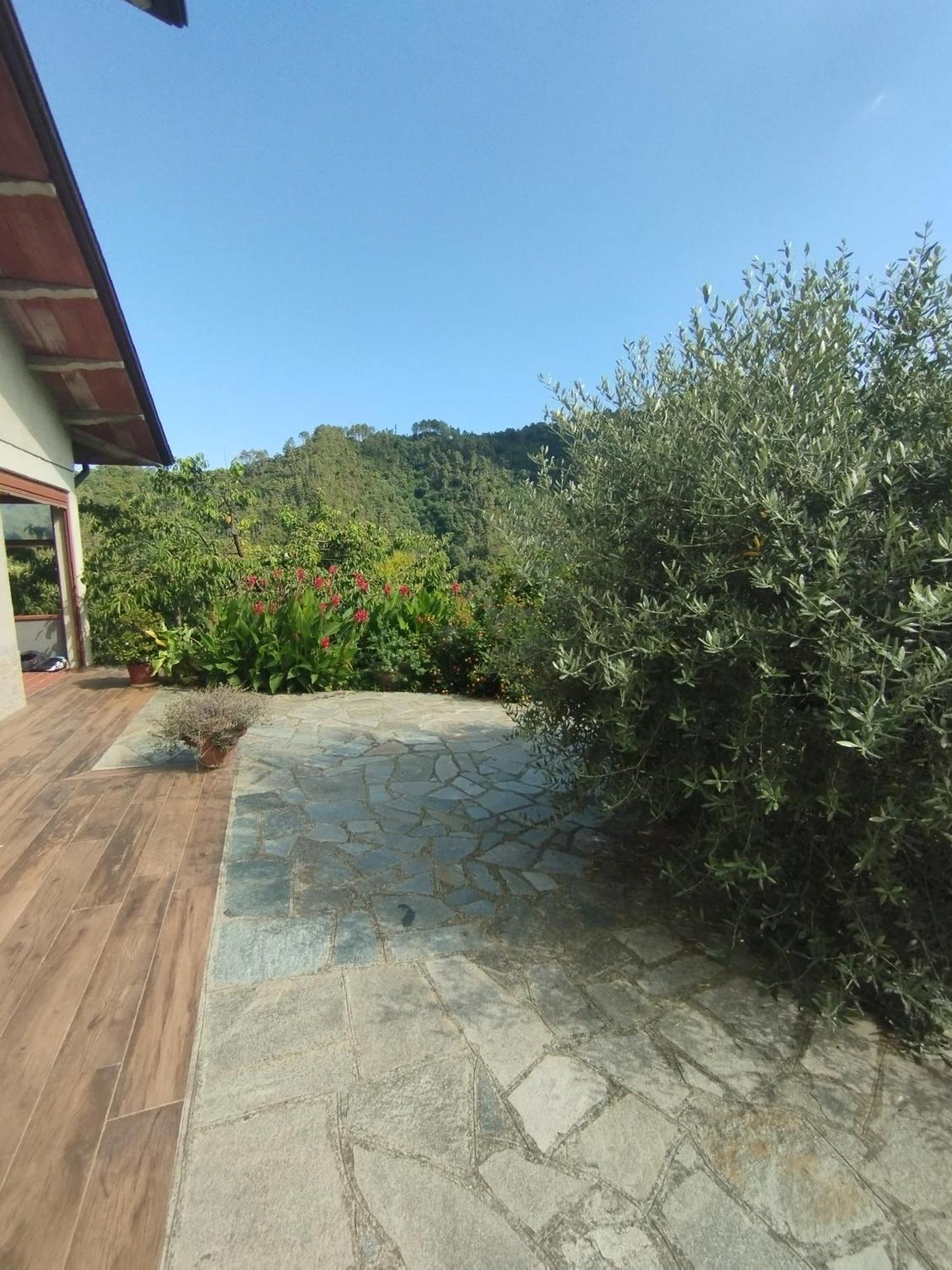 Villa Degli Ulivi Tivegna Екстер'єр фото
