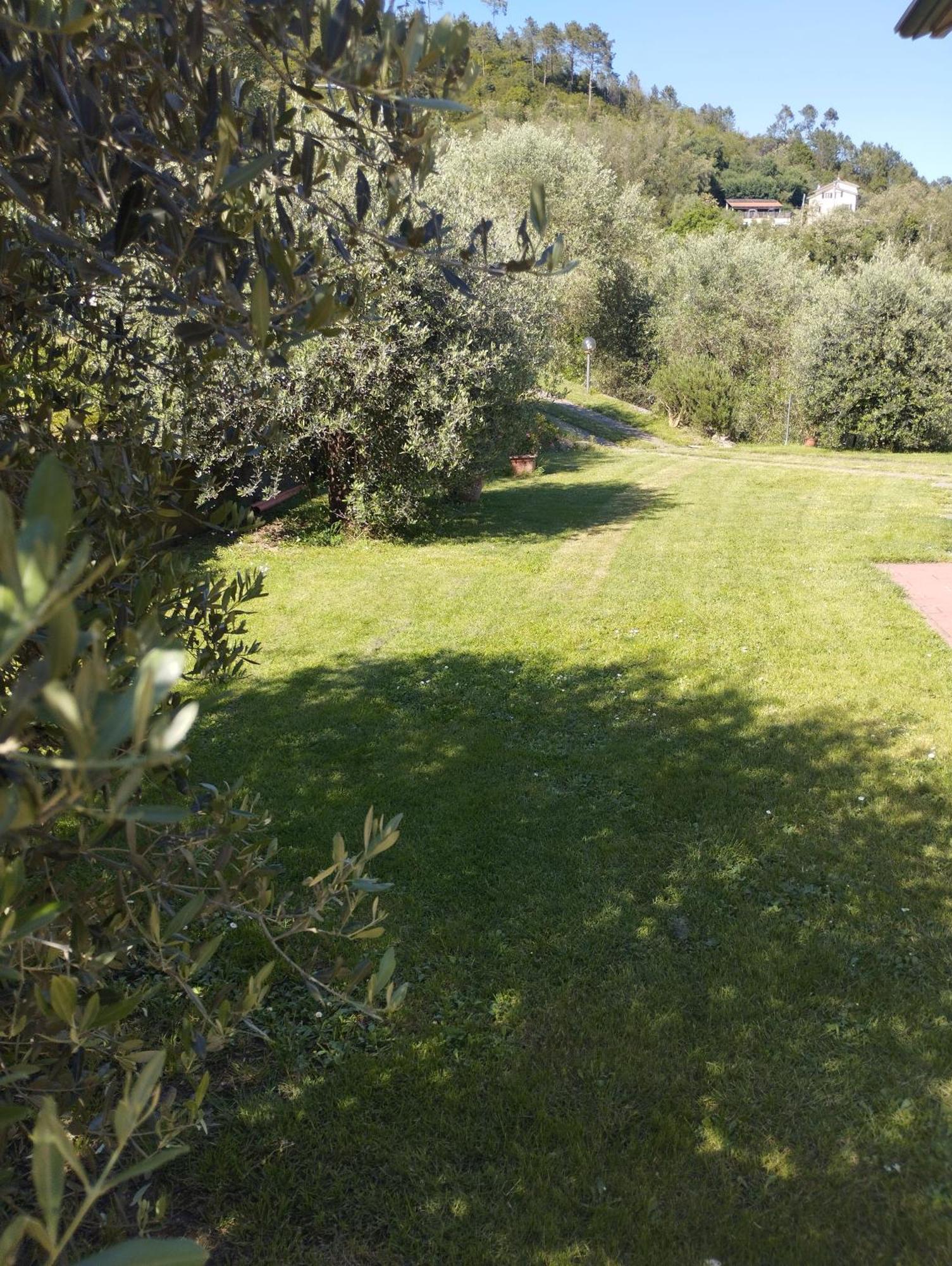 Villa Degli Ulivi Tivegna Екстер'єр фото