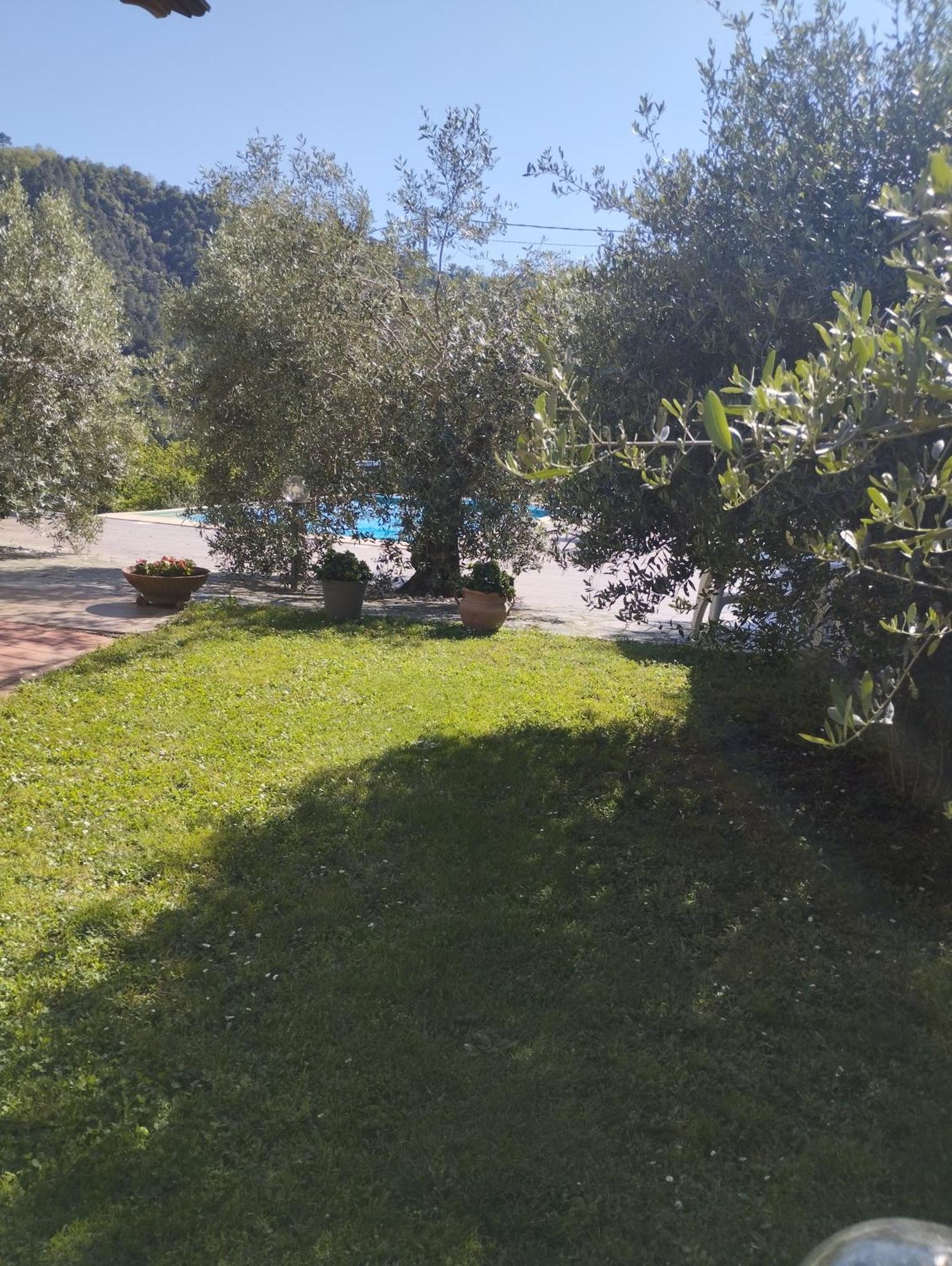 Villa Degli Ulivi Tivegna Екстер'єр фото